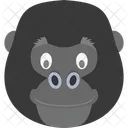 Gorilla Mammal Monkey Icon