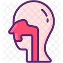Goteo postnasal  Icono
