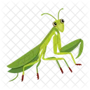 Gottesanbeterin Symbole Susse Gottesanbeterin Mantodea Symbol