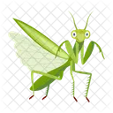 Gottesanbeterin Symbole Susse Gottesanbeterin Mantodea Symbol