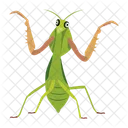 Gottesanbeterin Symbole Susse Gottesanbeterin Mantodea Symbol