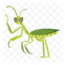 Gottesanbeterin Symbole Susse Gottesanbeterin Mantodea Symbol