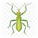 Gottesanbeterin Symbole Susse Gottesanbeterin Mantodea Symbol