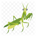 Gottesanbeterin Symbole Susse Gottesanbeterin Mantodea Symbol