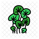 Gotu Kola Ayurvedic Icon