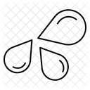  Icône