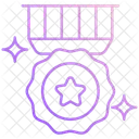 Grade Militaire Insigne Etoile Insigne Icône