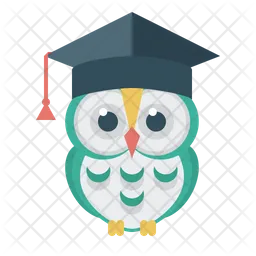 Graduate Owl  Icon