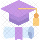 Graduation Diploma Graduate Icon