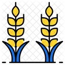 Grain  Icon