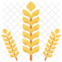 Grain Wheat Crop Icon