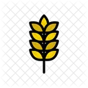 Grain Wheat Plant Icon