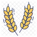 Grain Wheat Cereal Icon