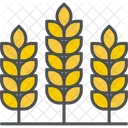 Grain  Icon