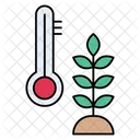 Grain Temperature  Icon