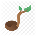 Graine De Plante Plante Graine Icône