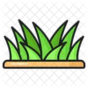 Grama Primavera Verde Icon