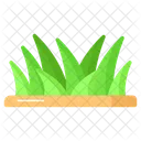 Grama Primavera Verde Icon