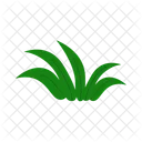 Grama Natureza Verde Icon