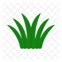 Grama Natureza Verde Icon