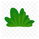 Grama Natureza Verde Icon