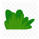 Grama Natureza Verde Icon