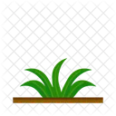 Grama Natureza Verde Icon