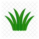 Grama Natureza Verde Icon