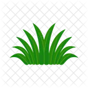 Grama Natureza Verde Icon