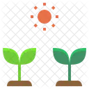 Cultiver Semences Croissance Icône