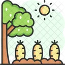 Granja de zanahorias  Icono