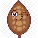 Cacao Frijol Cacao Icono