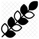 Grano de trigo  Icono