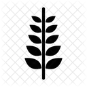Grano Trigo Cultivo Icono