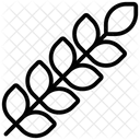 Trigo Colheita De Trigo Alimentos Ícone