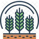 Grãos  Ícone