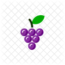 Grape Fruit Wine Icon