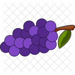 Grape  Icon