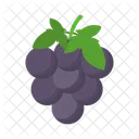 Grape Fruit Food Icon