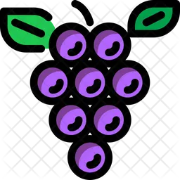 Grape  Icon