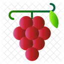 Fruit Food Wine Icon