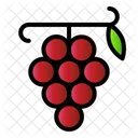 Fruit Food Wine Icon