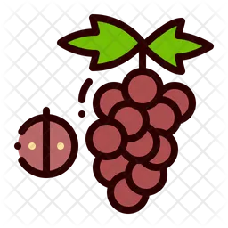 Grape  Icon