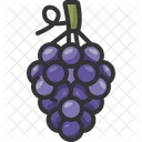 Grape Berries Fruit Icon