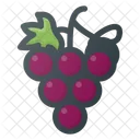 Grape Fruit Health Icon