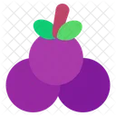 Grape Grapes Grape Fruit Icon