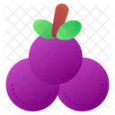 Grape Grapes Grape Fruit Icon