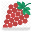 Grape Fruit Bunch Icon