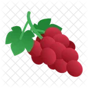 Grape Friut Food Icon