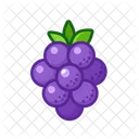 Grape Fruits Fruite Icon